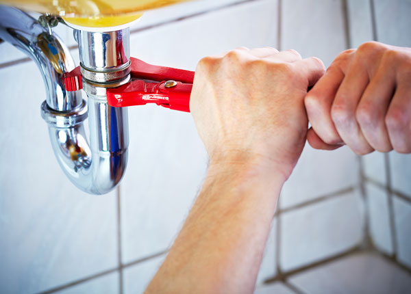 About Farina Plumbers